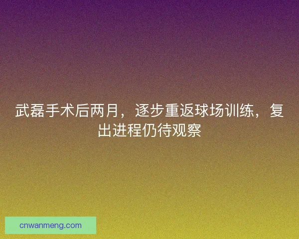 武磊手术后两月，逐步重返球场训练，复出进程仍待观察