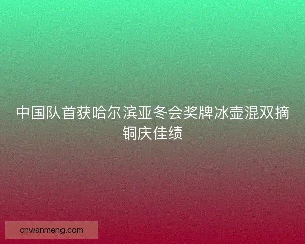 中国队首获哈尔滨亚冬会奖牌冰壶混双摘铜庆佳绩