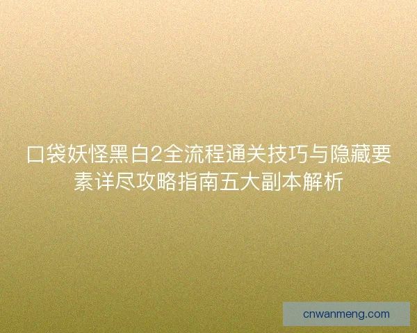 口袋妖怪黑白2全流程通关技巧与隐藏要素详尽攻略指南五大副本解析